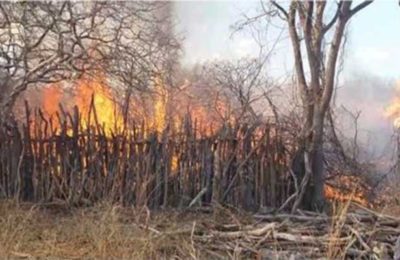 BOMBEIROS EM PILAO ARCADO